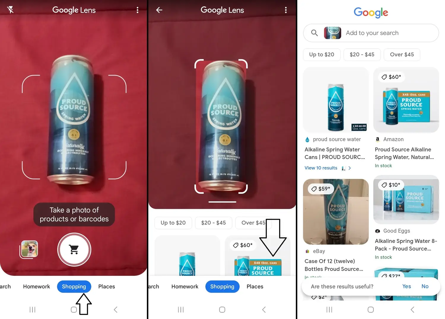 Google Lens Shopping product image example
