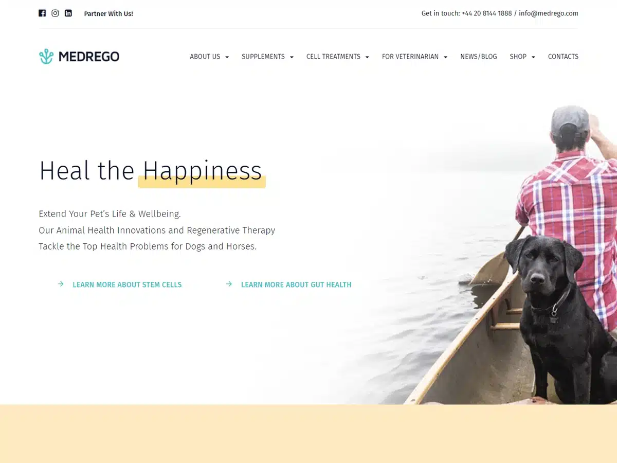 Best Medical Website Designs 56
