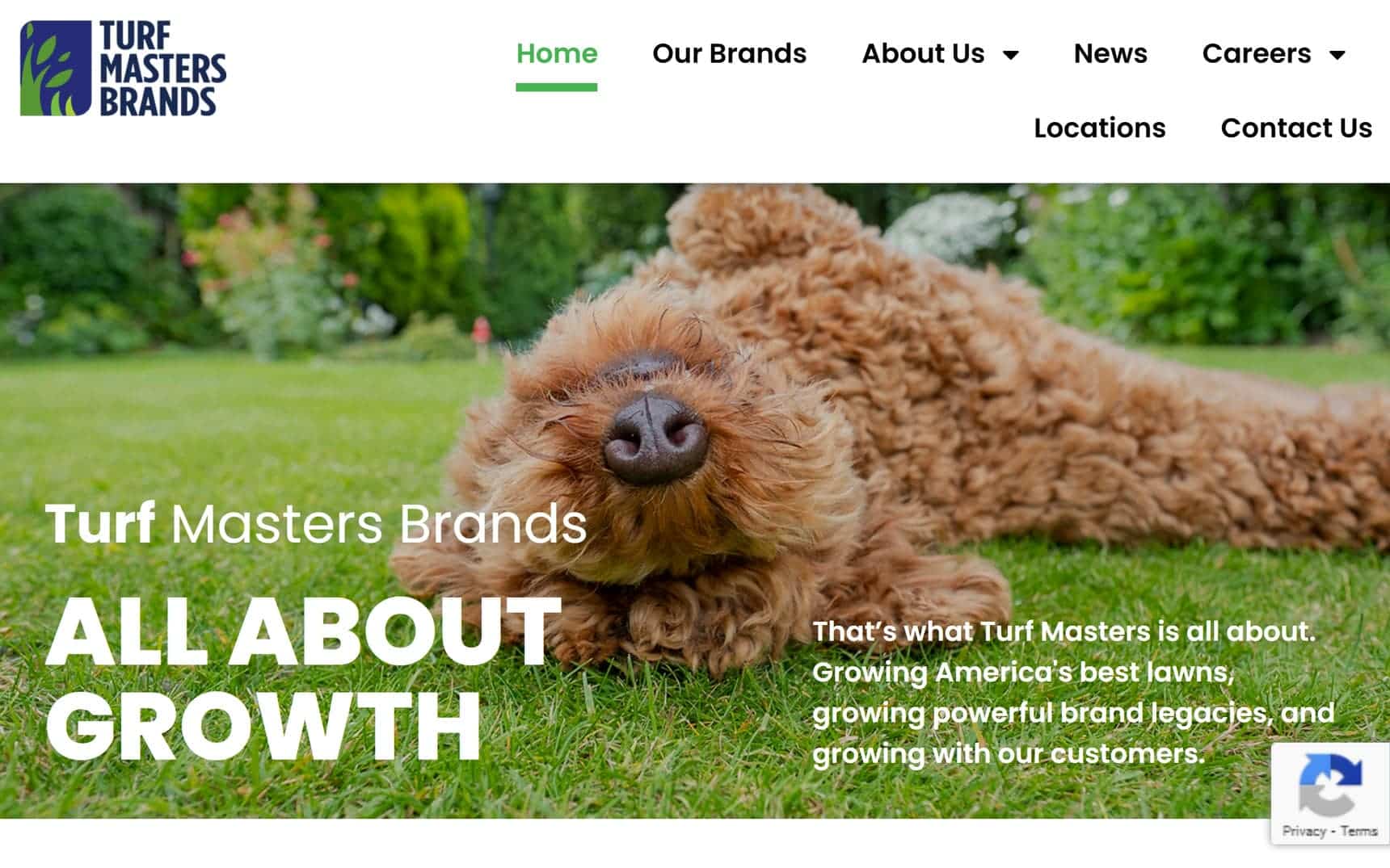 Turf Masters Brands website home page