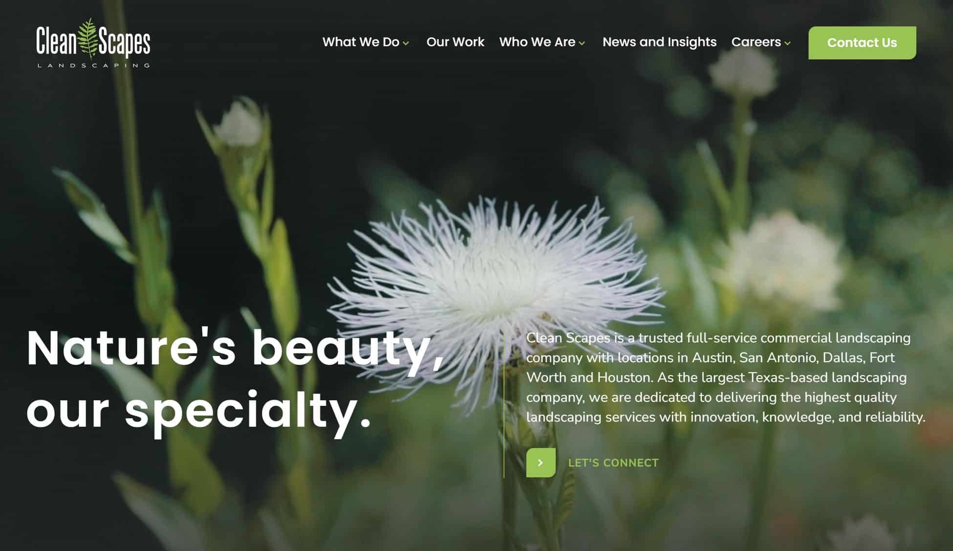 Clean Scapes Website Homepage