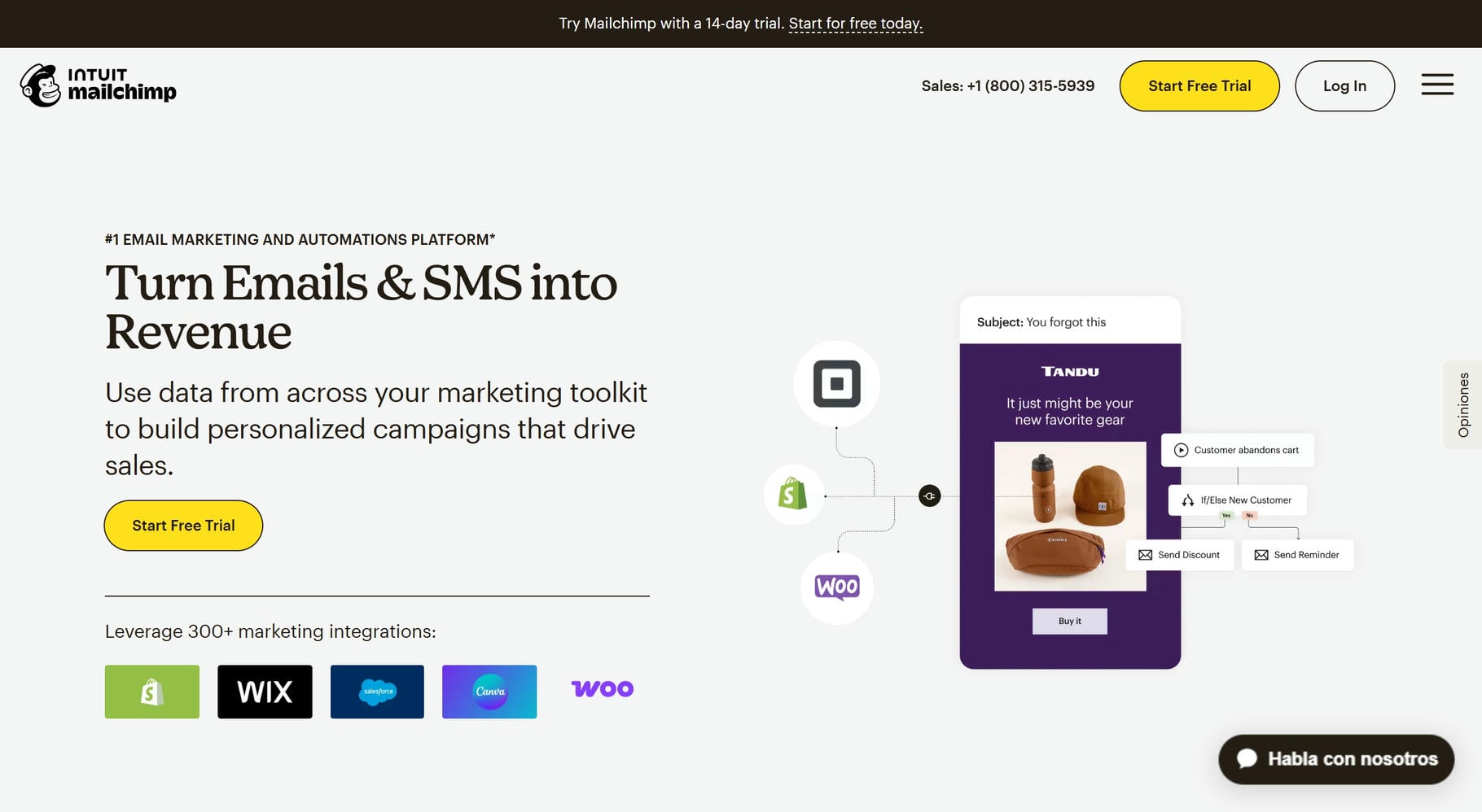 Mailchimp Website home page